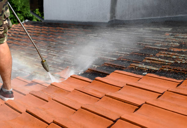 Best Roof Pressure Washing  in Humboldt, TN