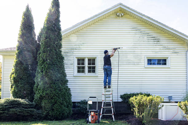Best Sidewalk Pressure Washing  in Humboldt, TN